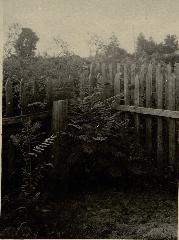 Image: The individual grave is located on the western outskirts of the orchard of the "Zavolochitsa" state farm, Glussky district