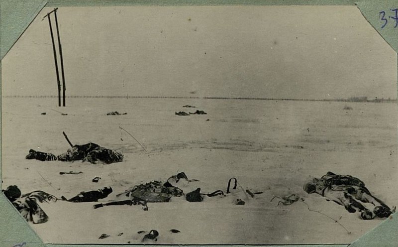 Фотография: Трупы фашистких солдат после психической атаки у с. Губино Калининской области. 6.12.41.