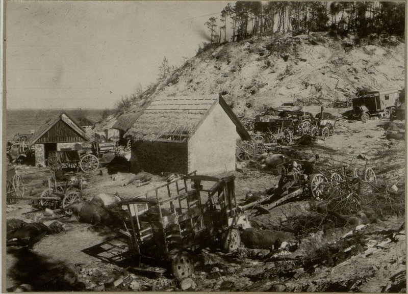 Фотография: В районе Бальга