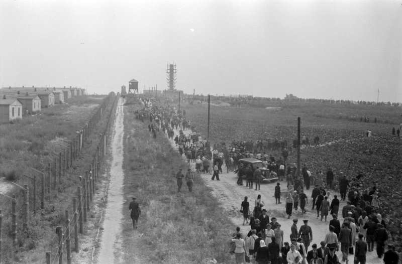 Road and wire fences on the territory of Majdanek concentration camp