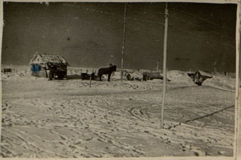 Фотография: Общий вид стрельбища