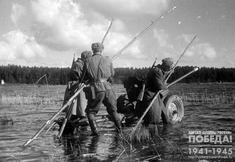 Soldiers of the Guards Sergeant Major V. Golyshev with a gun cross the river Oder