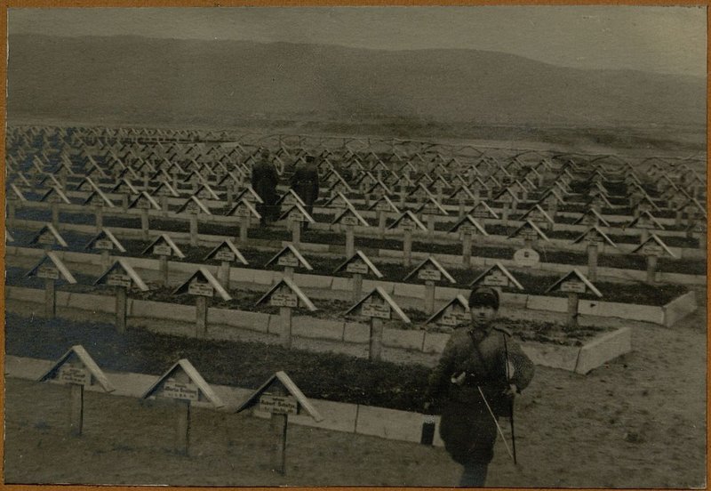 Image: More than 10,000 crosses installed in the cemetery