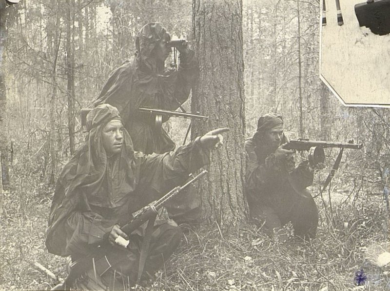 Image: Scouts on a mission