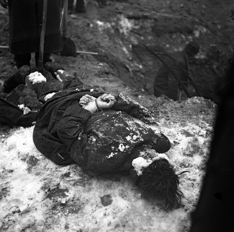Corpses of Jews from Budapest brutally murdered by Nazis
