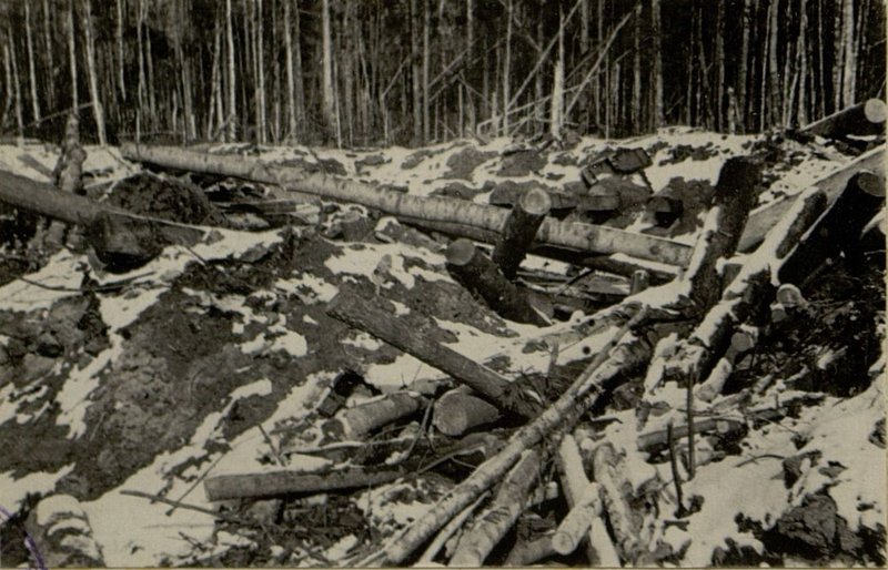 Image: Destroyed German bunker in a railway embankment
