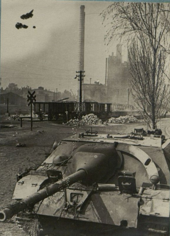 Image: Self-propelled gun knocked out by Syzdykov's crew