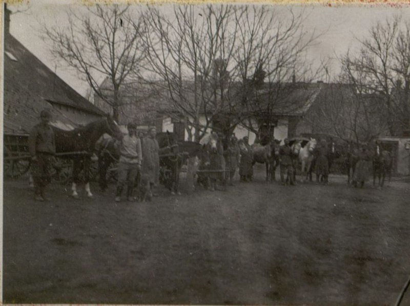 Фотография: Гужевой транспорт
