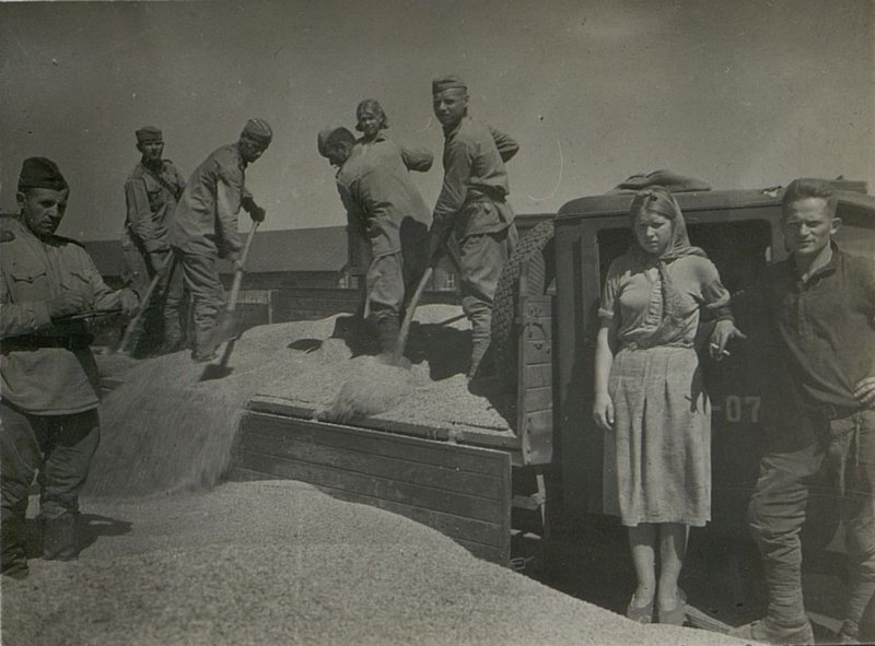 Фотография: Разгрузка зерна на элеваторе