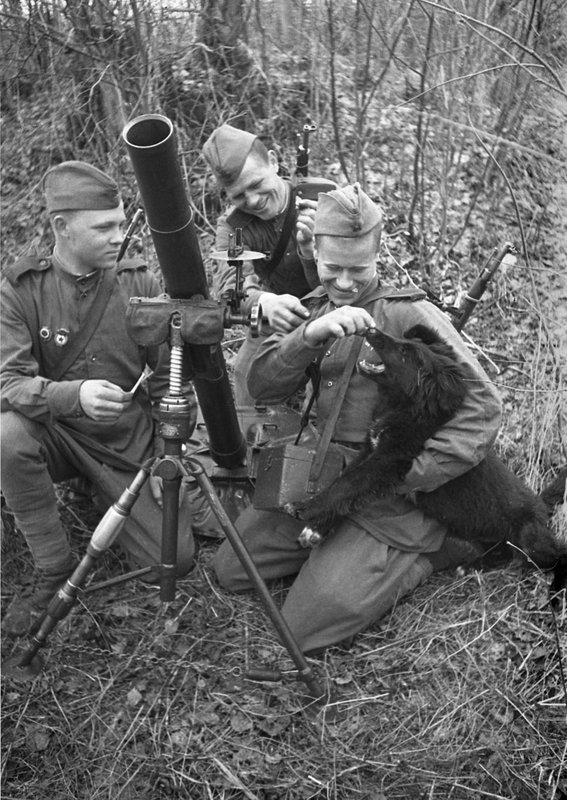Без названия
