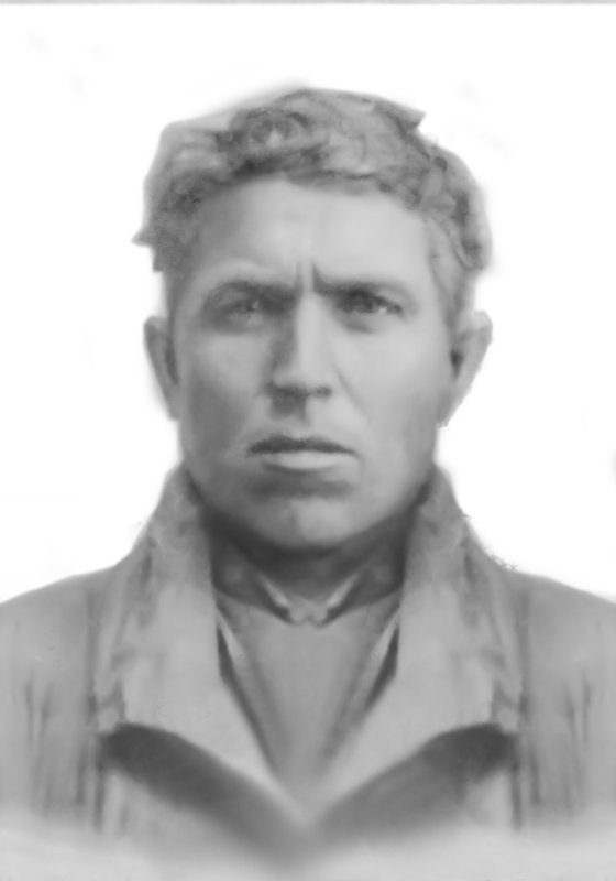 Пчелинцев Дмитрий Михайлович