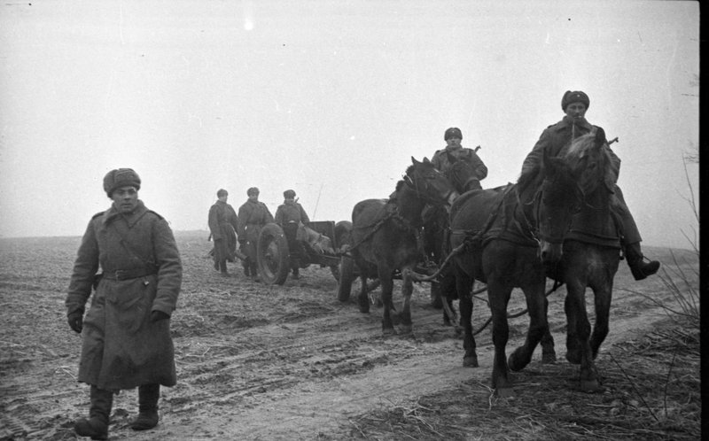 «1-й Украинский фронт. Артиллеристы и 76-мм полковая пушка обр. 1927 года на конной тяге (упряжка-четверик).»