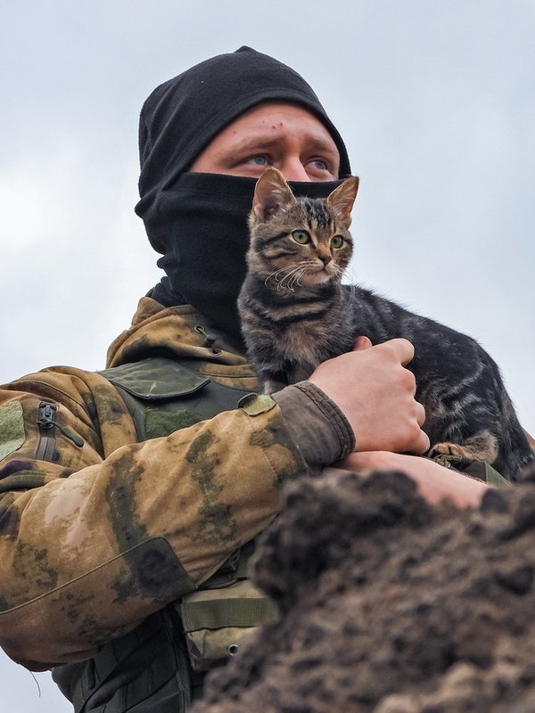 Positions of Russian Armed Forces in SVO Zone (Russia, Kherson Region)