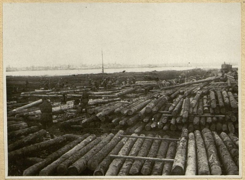 Фотография: Склад древесины на стройплощадке