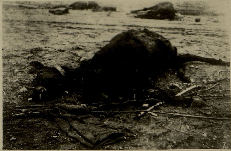 Image: After the assault strike of our aviation