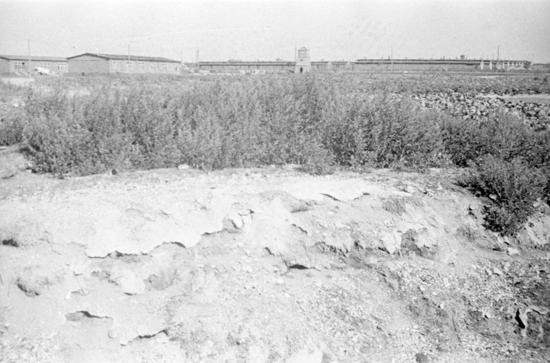 Piles of bones at Majdanek prepared for being made into fertilizers