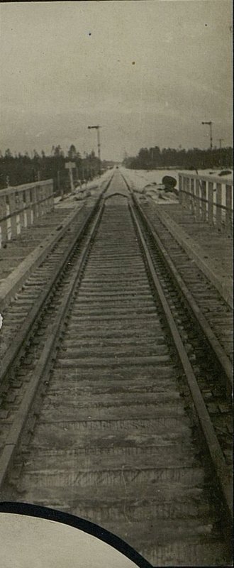 Image: Restoration of the Bryansk node