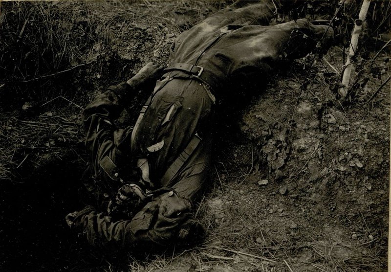 Фотография: В районе выс. 243,8