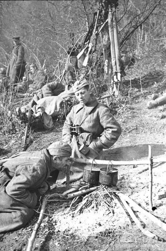 Soldiers at a halt