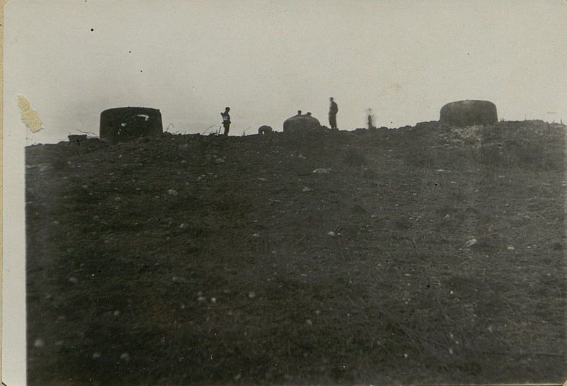 Фотография: Общий вид ДОТ № 730