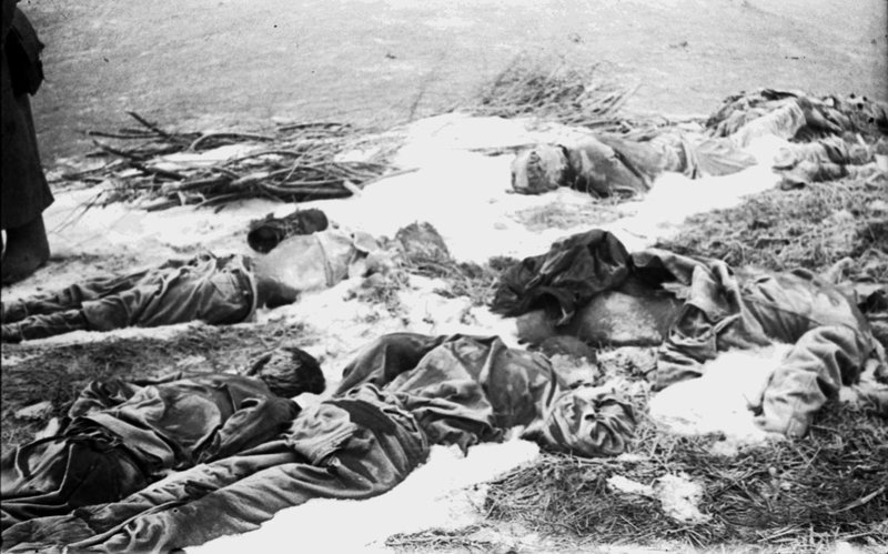 Soviet POWs killed by the Nazis (Stalingrad Region)