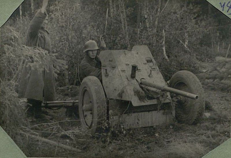 Image: From a fascist weapon to the fascists