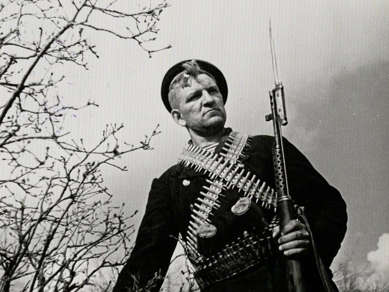 Waist portrait of a scout S.I. Pirozhnikov, petty officer II class