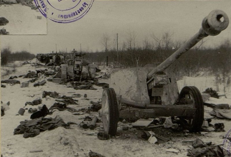 Image: German column of the anti-tank battalion, defeated in Podberezie