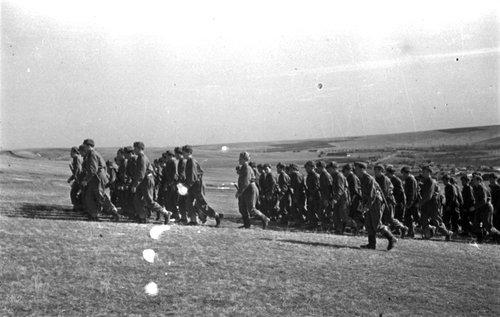 Рота 1-й отдельной Чехословацкой бригады направляется на учения (Украина)