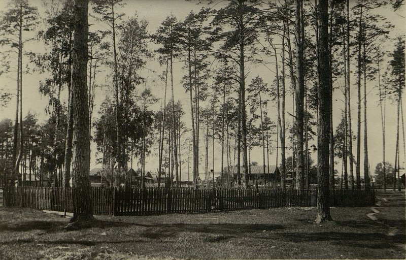 Фотография: Воинское кладбище, г. Ново-Белица, в "Сосновой роще"