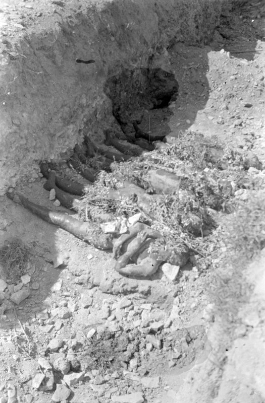 Ones of the last Majdonek camp prisoners, executed before coming of Soviet troops 