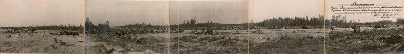 Image: A solid column of enemy vehicles on the forest section of the highway in the area of the north-east of Pogost. In the center of the photo - a section of road on which a panorama of broken cars