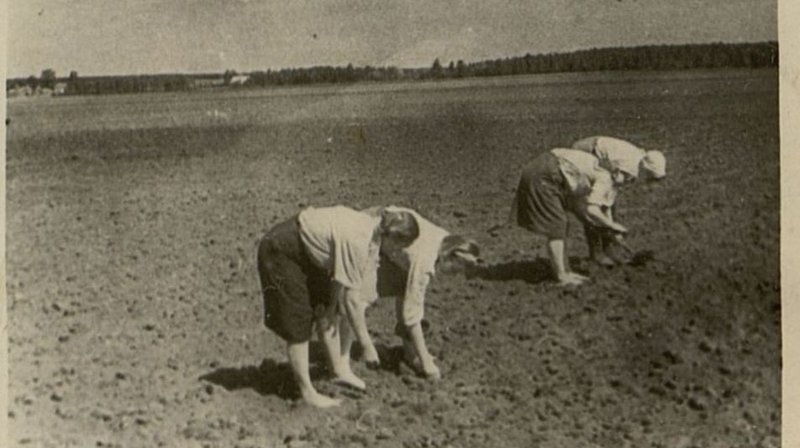 Фотография: Подсобное хозяйство