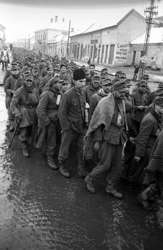 The 2nd Ukrainian Front. A column of German POWs captured during the Battle of Budapest