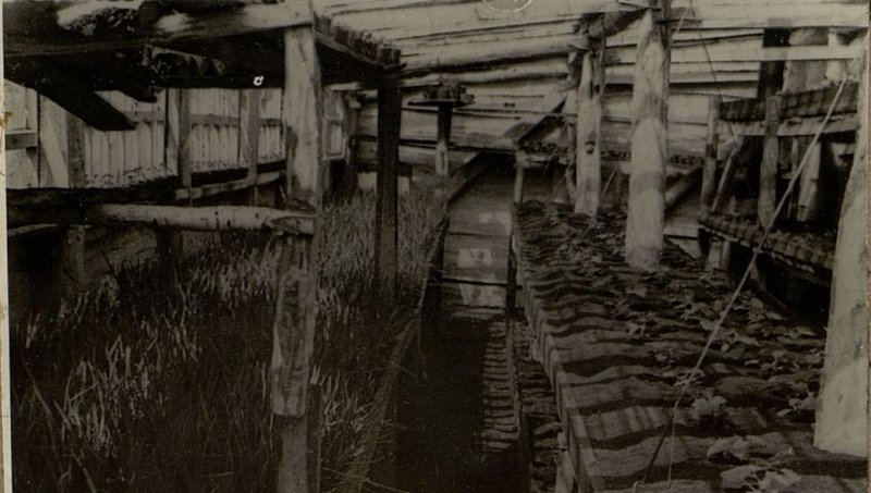 Фотография: Подсобное хозяйство