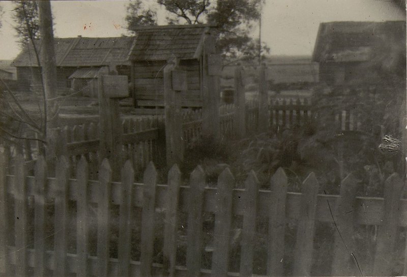 Image: The mass grave is located near the Mikhailovsky village council of the Bobruisk region