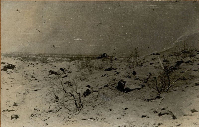 Image: Area of the height 247.7 in sq. 9036