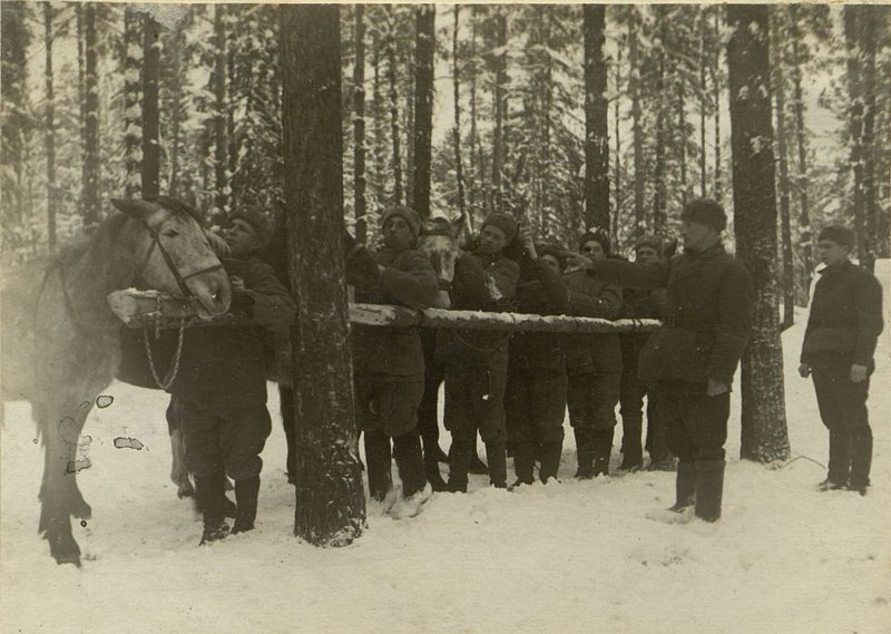 Фотография: В зимних лагерях