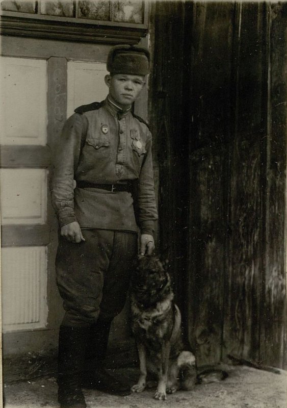 Image: Best Dog of the Army Health Service "Gypsy"