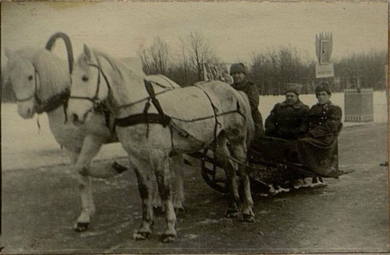 Фотография: Фотоальбом 12 запасной стрелковой дивизии