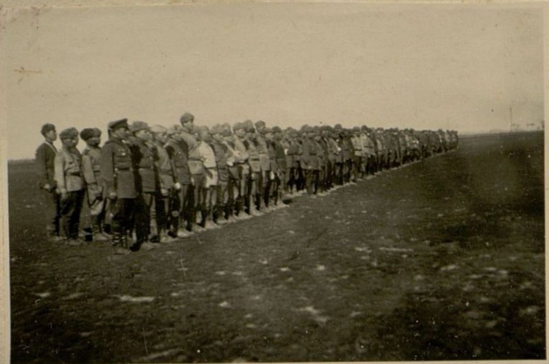 Image: Military inspection of the wounded and sick