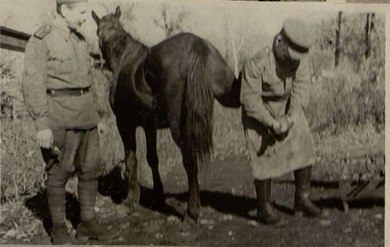 Фотография: Подсобное хозяйство