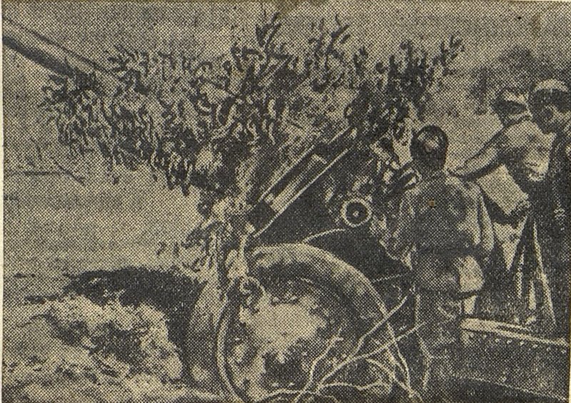 Image: 181st Infantry Regiment in World War II