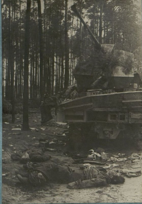 Фотография: Разгром группы немецких войск юго-восточнее г. Берлина. На полях битвы - тысячи вражеских трупов и разбитая немецкая техника