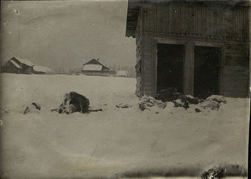 Image: The executed prisoners of the Red Army near the restroom in the village of Aleksandrovka, Ostashkovsky district