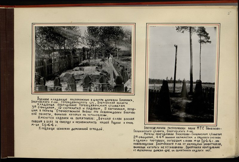 Original image: The military cemetery is located in the center of the village of Gorokhovka, Bobruisk district, Gorbatsevichy village council, Bobruisk region