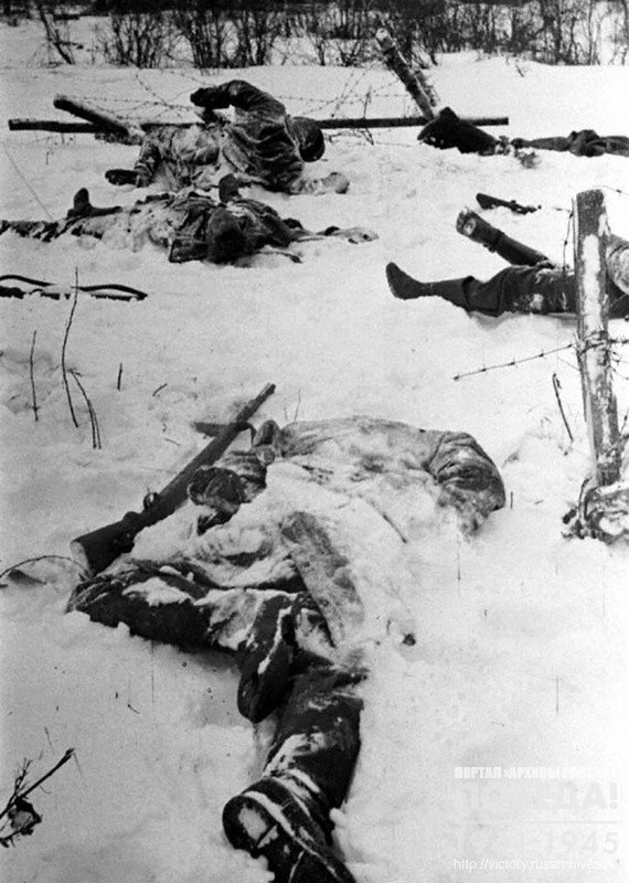 The corpses of the killed Nazis in one of the sections of the Naro-Fominsk direction