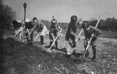 Огородные работы на Марсовом поле (дети копают землю под грядки)