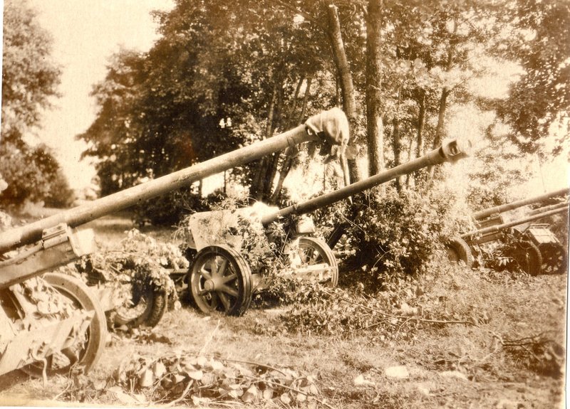 After the battle to destroy the Brest enemy group