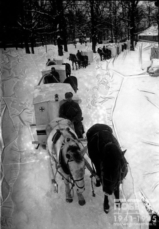 Tansportation of wounded in horse-drawn medical carts